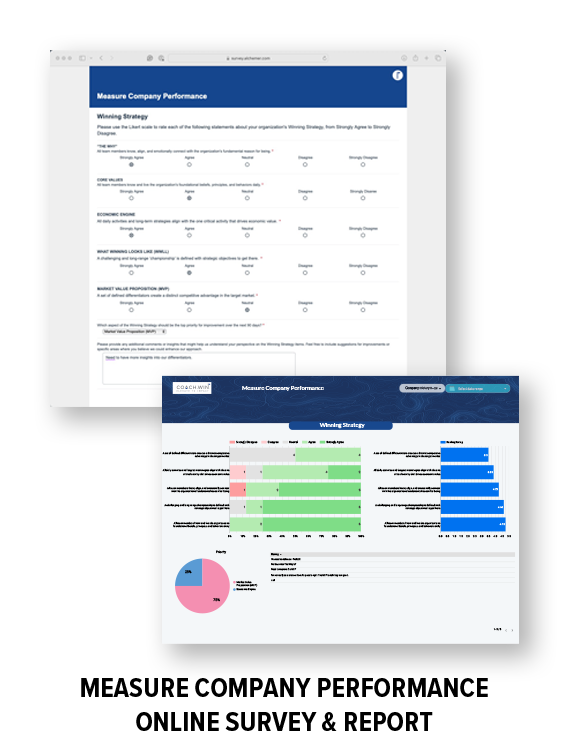Measure_Company_Performance_Survey